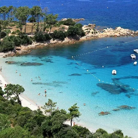 L'ebene * Coti-Chiavari (Corsica)